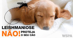 Vacinação