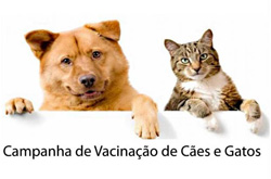 Vacinação